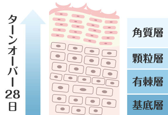 ポテンツァはどんな治療？ 